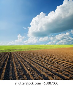 Ploughed Field