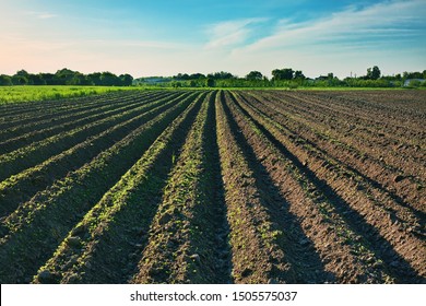 Ploughed field, springtime agricultural background - Shutterstock ID 1505575037