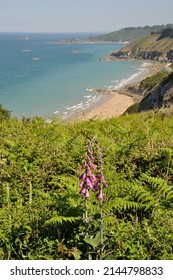 Plouha On The Brittany Coast