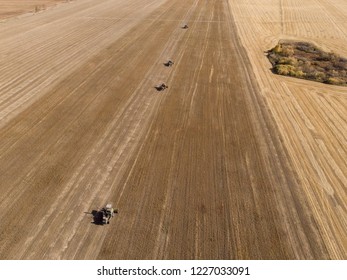 plowed agricultural crop field on which there were traces of the transported vehicles during the processing of the field