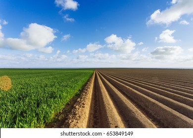 Plowed Agricultural Fields Prepared For Planting Crops In Normandy, France. Countryside Landscape With Cloudy Sky, Farmlands In Spring. Environment Friendly Farming And Industrial Agriculture Concept