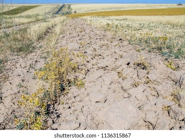 Plowed Anti-piercing Strip Between Field And Road