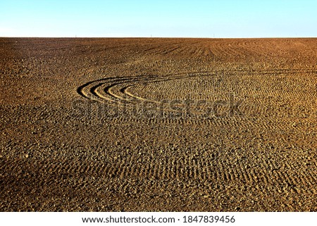 traces Umwelt Natur Sand