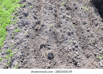 Plowed dirt in a garden plot