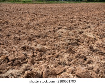 Plowed farmland. Agriculture scene of plowed and dry copland after harvest.