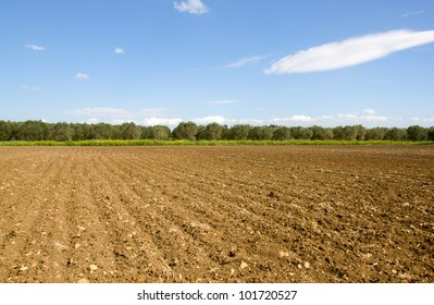 Plowed Field