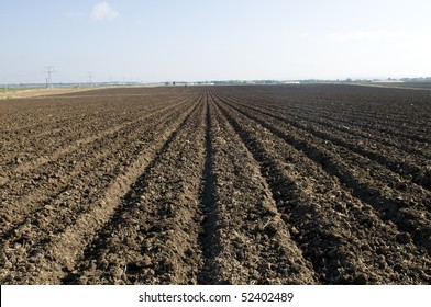 Plowed Field