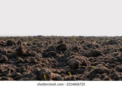 A plowed field in autumn. Close-up of plowed land. A close-up of a plowed field. 