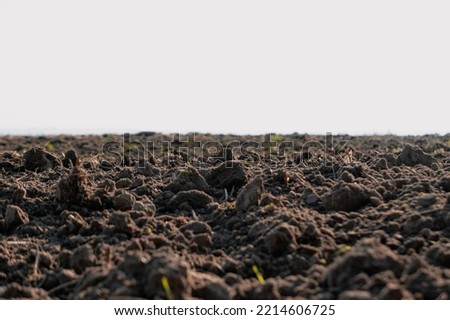 A plowed field in autumn. Close-up of plowed land. A close-up of a plowed field. 