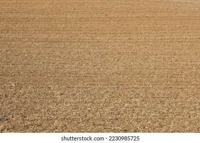 plowed field in beautiful light as agricultural background