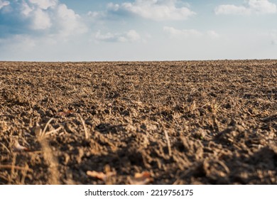 A plowed field, dry land close-up.
