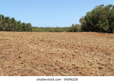 Plowed field with forest at the background