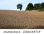 Plowed field in September with visible loess soil. Lublin Upland. Poland