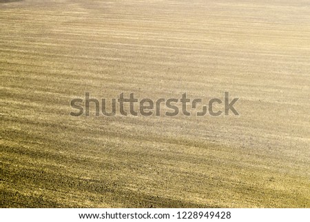 Similar – Image, Stock Photo Combine harvester harvests grain field in the evening light from the air