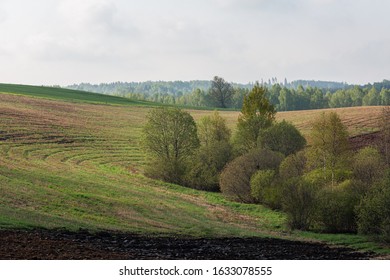 Plowed Field In Springtime At Latgale