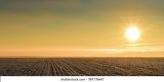 Plowed Field In The Sun