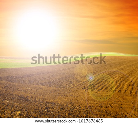 Similar – Image, Stock Photo soak up the sun