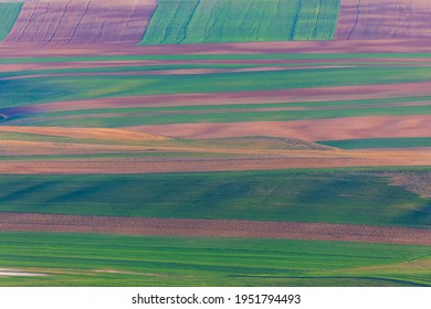 Plowed fields in spring with a condensed perspective
