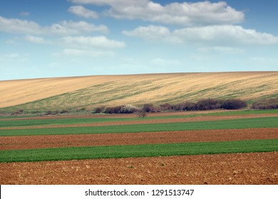 Plowed And Green Wheat Fields Agriculture Voivodina Serbia Landscape