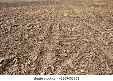 Plowed soil of farm field in spring, Agriculture rural landscape. Plough agriculture field. Countryside background, farm field. Plowed fertile soil