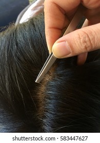 Plucking Gray Hair From Head With Tweezer