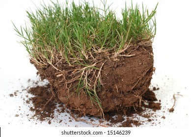 Plug Of Grass And Dirt Isolated On White Background.