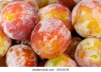 Plum