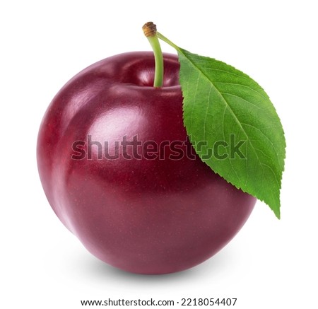 Plum isolated. Ripe plum with green leaf isolated on white background. Fresh fruits.