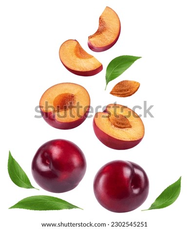 Plum isolated. Ripe red plum, fruit halves and slices on a white background. Fruit levitation.