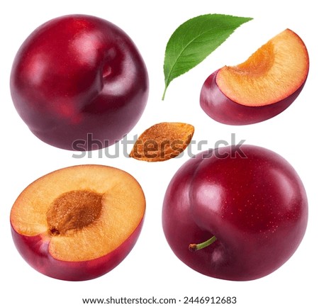 Plum isolated set. Collection of red plums on a white background.