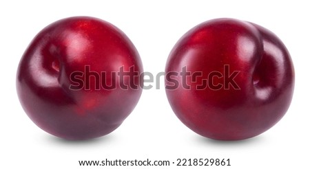 Plum isolated. Two ripe plums on a white background. Fresh fruits.