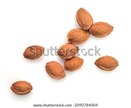 Plum kernels isolated on a white background
