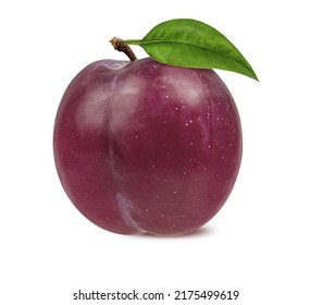 plum on a white background - Shutterstock ID 2175499619