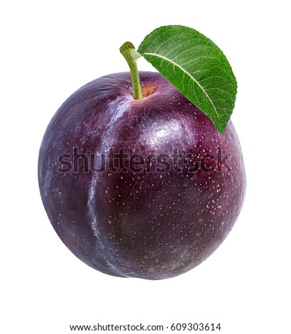 plum on a white background