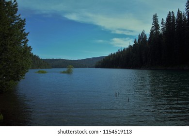 Plumas National Forest