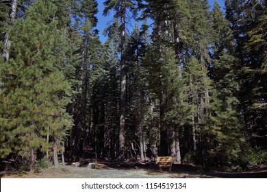 Plumas National Forest