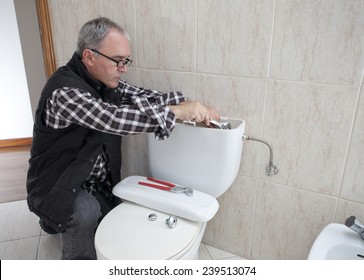 Plumber Repairing A Toilet Cistern