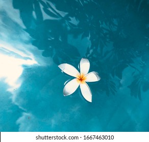 Flower Ocean Images, Stock Photos & Vectors | Shutterstock