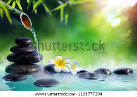 Plumeria Flowers In Japanese Fountain With Massage Stones And Bamboo - Zen Garden
