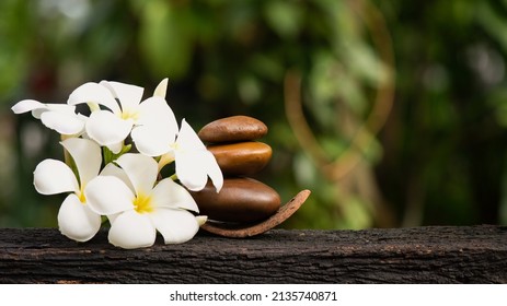 Plumeria flowers and stone on bokeh nature background.
