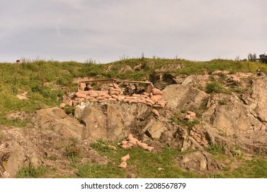 Plumlov, Czech Republic, 19th September 2020, Soldiers During Attack As Simulation Of Battle During World War Two