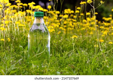 Plump glass bottle of clean and clear drinking water in selective focus among fresh wildflowers and green grass. Drought, famine, abundance, abundance; vital fluid, basic need concept. - Shutterstock ID 2147107669