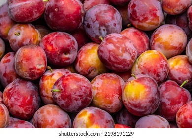 30,104 Dark plum background Images, Stock Photos & Vectors | Shutterstock