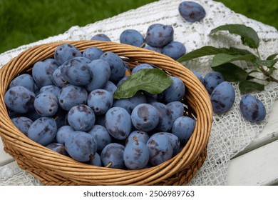 plums, basket with plums from the garden
 - Powered by Shutterstock