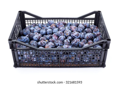 Plums (Prunus) In Plastic Crate On White