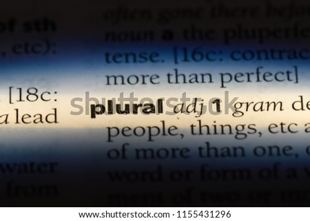 plural word in a dictionary. plural concept.