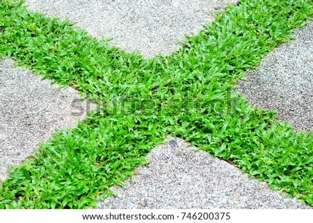 Plus sign conver by green grass on concrete background