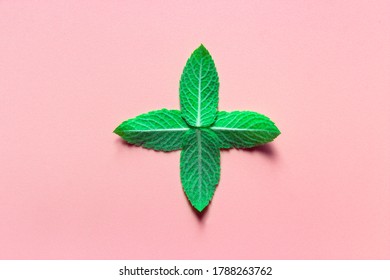 Plus Symbol Of Green Melissa Mint Leaves On Pink Background 