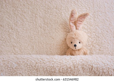 Plush beige bunny lies under the blanket