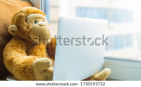 Plush monkey with a laptop on the windowsill close-up copy space. The concept of online communication